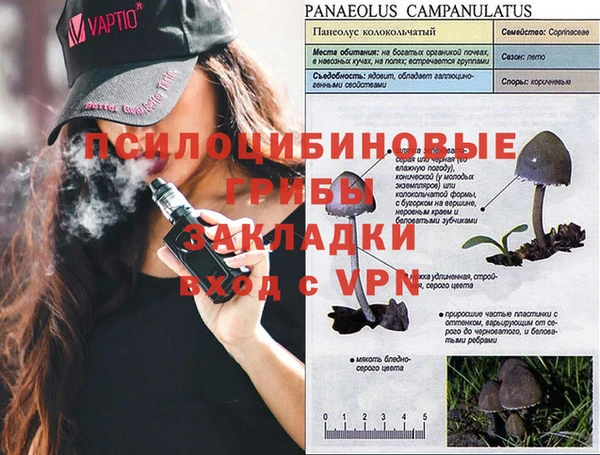 ПСИЛОЦИБИНОВЫЕ ГРИБЫ Навашино