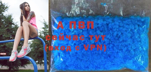 apvp Надым