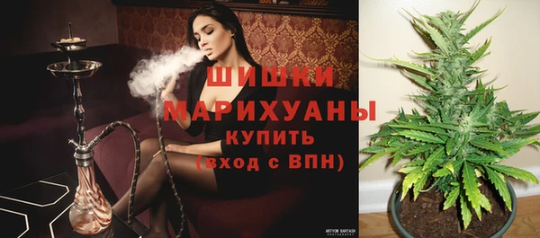 ПСИЛОЦИБИНОВЫЕ ГРИБЫ Навашино