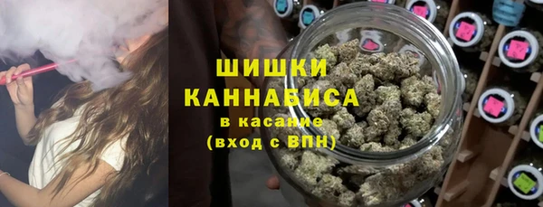 apvp Надым