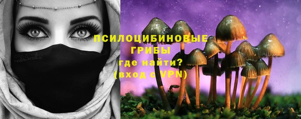 apvp Надым