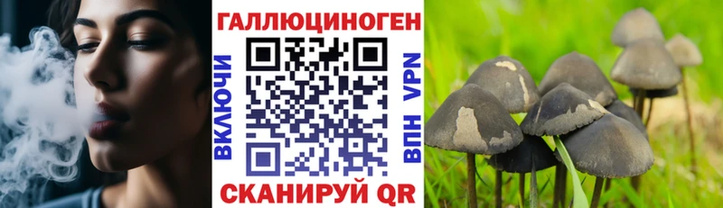 Галлюциногенные грибы GOLDEN TEACHER  Сычёвка 